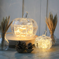 Set of 2 Glass Pumpkin Jars