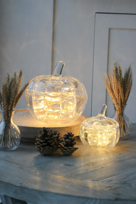 Set of 2 Glass Pumpkin Jars