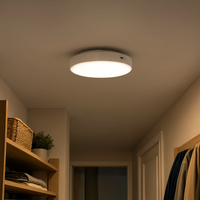 Battery Powered LED Ceiling Light | Motion Sensor, No Wiring